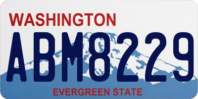 WA license plate ABM8229