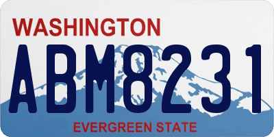 WA license plate ABM8231