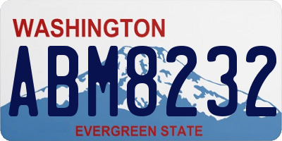 WA license plate ABM8232
