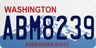 WA license plate ABM8239