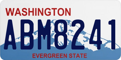 WA license plate ABM8241