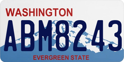 WA license plate ABM8243