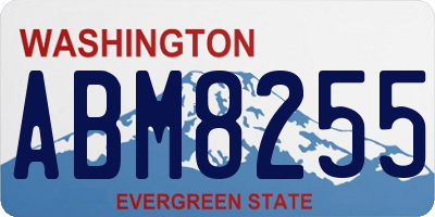 WA license plate ABM8255