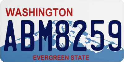WA license plate ABM8259