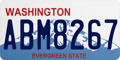 WA license plate ABM8267