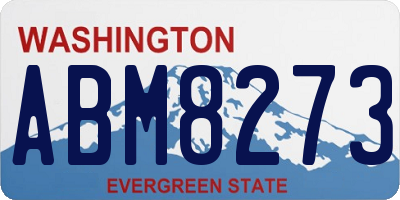 WA license plate ABM8273