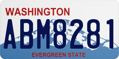 WA license plate ABM8281