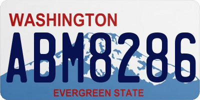 WA license plate ABM8286