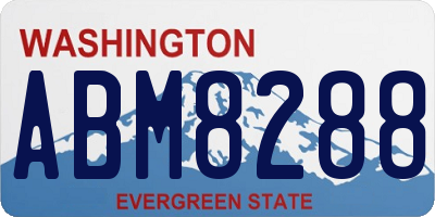 WA license plate ABM8288