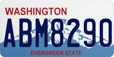WA license plate ABM8290