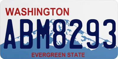 WA license plate ABM8293