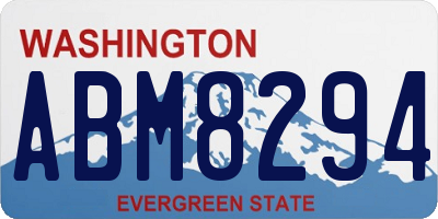 WA license plate ABM8294