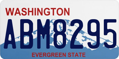 WA license plate ABM8295