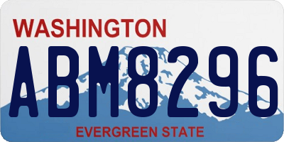 WA license plate ABM8296