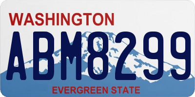 WA license plate ABM8299