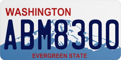 WA license plate ABM8300
