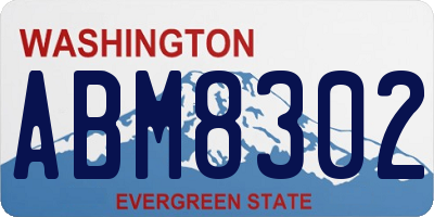 WA license plate ABM8302