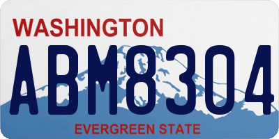 WA license plate ABM8304