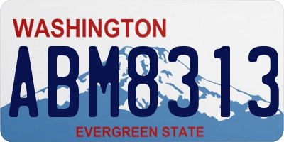 WA license plate ABM8313