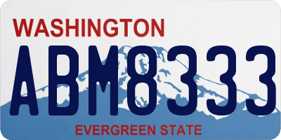 WA license plate ABM8333