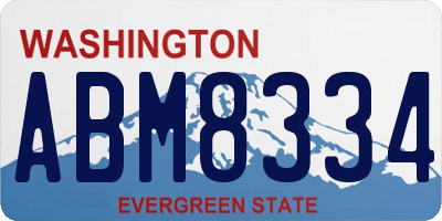 WA license plate ABM8334