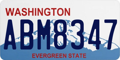 WA license plate ABM8347