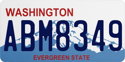 WA license plate ABM8349