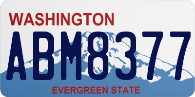 WA license plate ABM8377