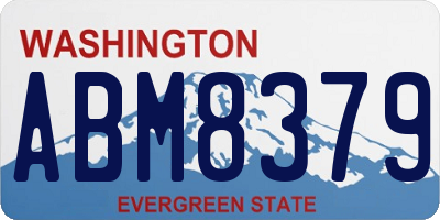 WA license plate ABM8379