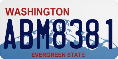 WA license plate ABM8381