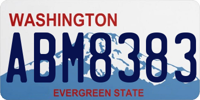WA license plate ABM8383