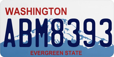 WA license plate ABM8393