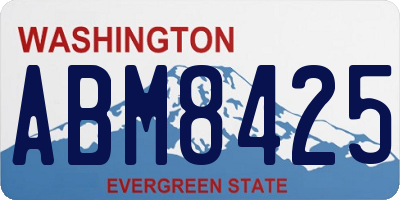 WA license plate ABM8425