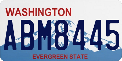 WA license plate ABM8445