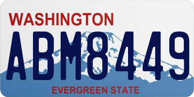 WA license plate ABM8449