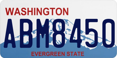 WA license plate ABM8450