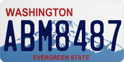 WA license plate ABM8487