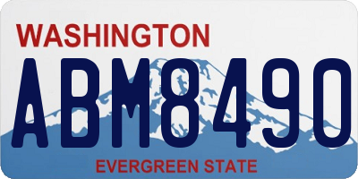 WA license plate ABM8490