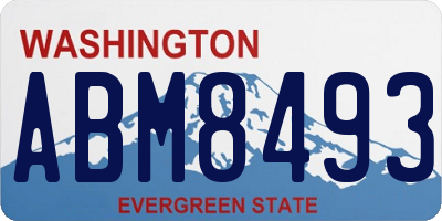 WA license plate ABM8493