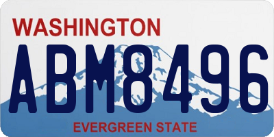 WA license plate ABM8496