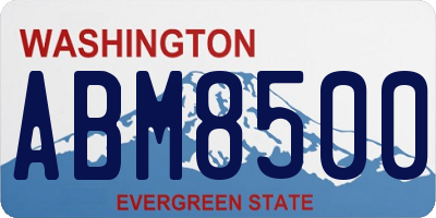 WA license plate ABM8500