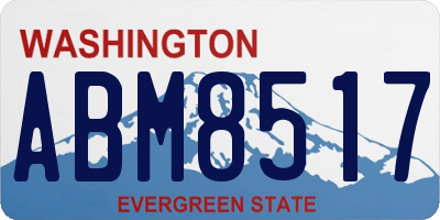WA license plate ABM8517