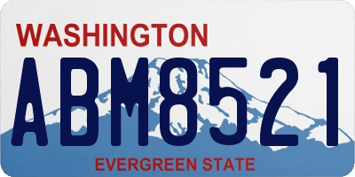 WA license plate ABM8521