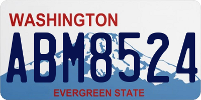 WA license plate ABM8524