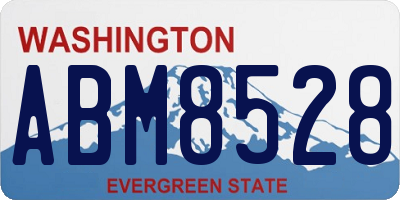 WA license plate ABM8528