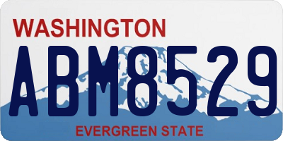 WA license plate ABM8529