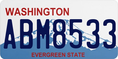 WA license plate ABM8533