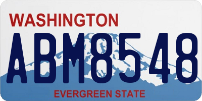 WA license plate ABM8548
