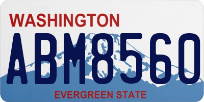 WA license plate ABM8560
