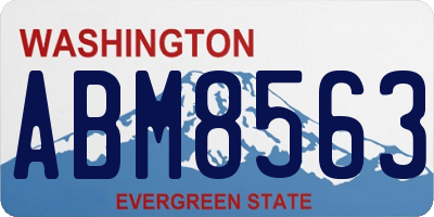 WA license plate ABM8563